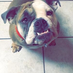 Meet your Posher, Beth